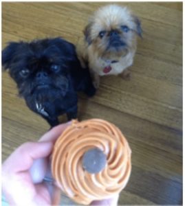dogs looking at treats