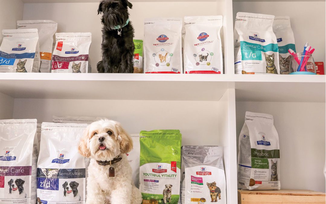 vet recommended puppy food 2018