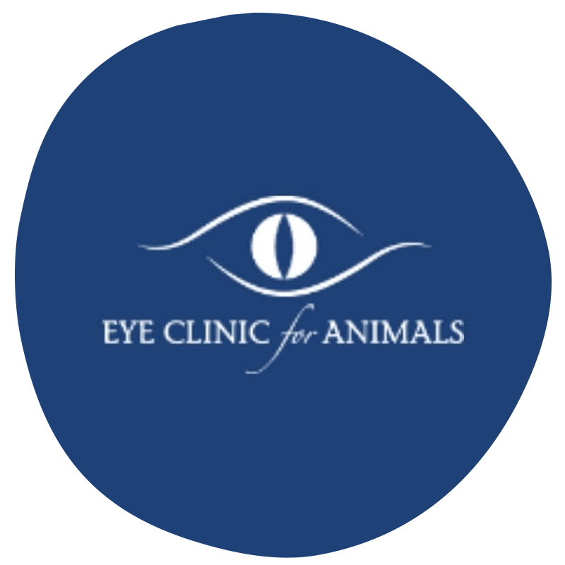 eye clinic for animals